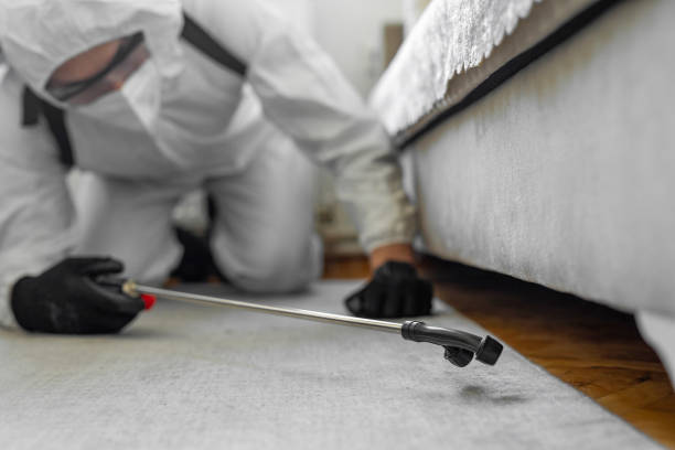 Professional Cockroach Control technician working in Minerva, OH